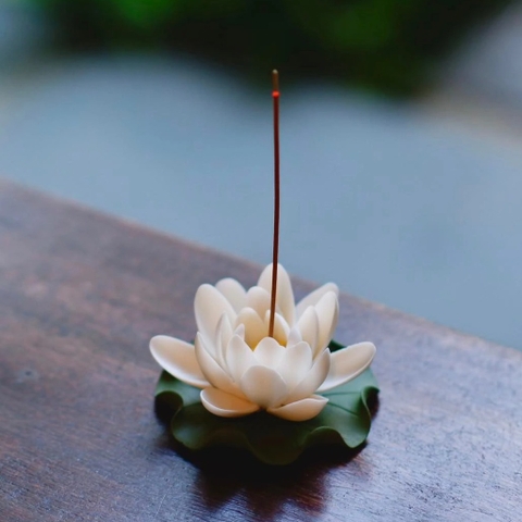 Cắm nhang hoa sen có đế