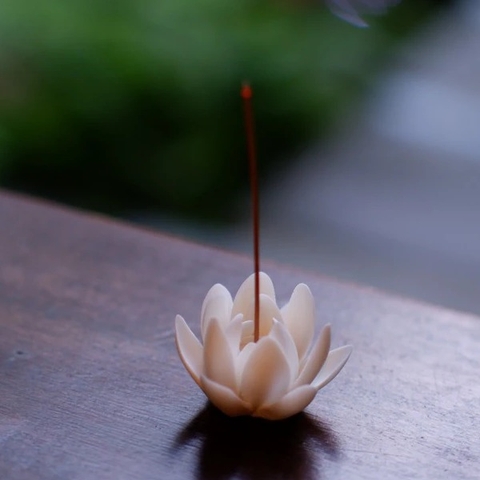 Cắm nhang hoa sen trắng