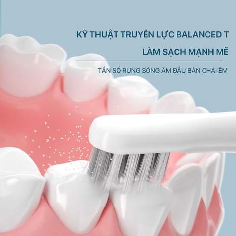 Bàn chải đánh răng điện BOMIDI T501 (Bản quốc tế)
