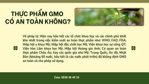 thực phẩm GMO có an toàn không