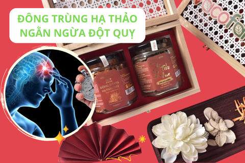 Hiện trạng đột quỵ ở người trẻ đang báo động và giải pháp ngăn ngừa từ Đông trùng hạ thảo