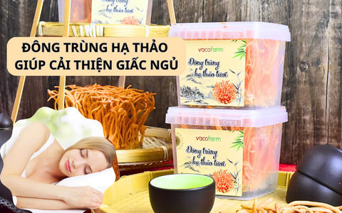 Top 5 cách dùng Đông Trùng Hạ Thảo chữa mất ngủ cực tốt