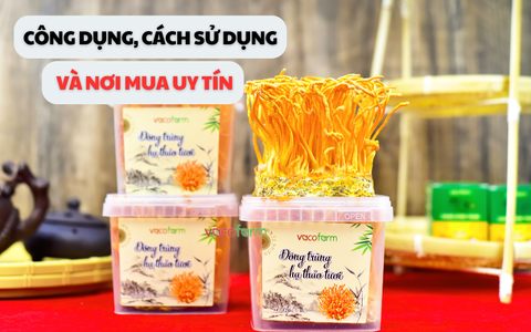 Nấm Đông Trùng Hạ Thảo tươi Vacofarm: Công dụng, cách sử dụng và nơi mua uy tín