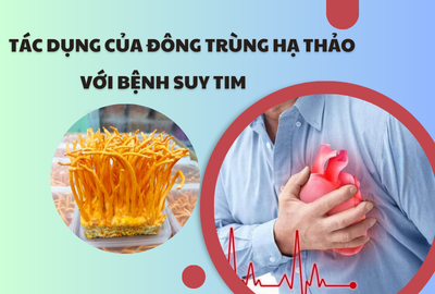 TÁC DỤNG CỦA ĐÔNG TRÙNG HẠ THẢO VỚI BỆNH SUY TIM