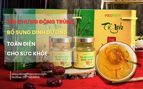 Yến chưng Đông Trùng Hạ Thảo Vacofarm - Bổ sung dinh dưỡng toàn diện cho sức khỏe