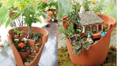 Mách bạn cách xử lý những đồ gốm sứ bị sứt mẻ tại nhà