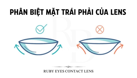 Cách phân biệt mặt trái phải của Lens? Mẹo phân biệt nhanh
