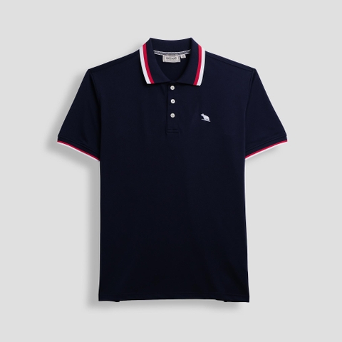 Áo Polo Bigsize Màu Xanh đen Thêu Gấu Phối cổ 3 màu