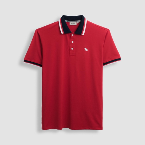 Áo Polo Bigsize Màu Đỏ Thêu Gấu Phối cổ 3 màu