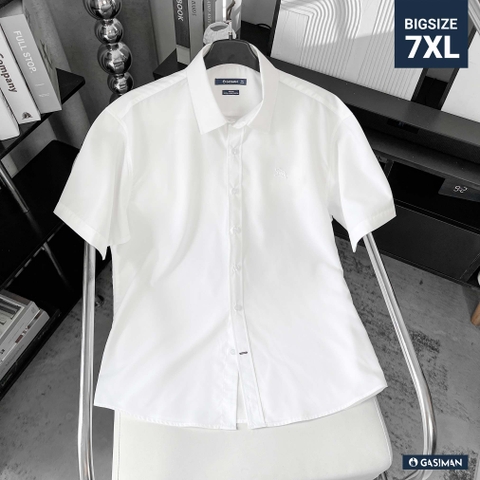 Áo Sơ Mi Tay ngắn Bigsize Trơn Logo thêu Gấu Màu Trắng