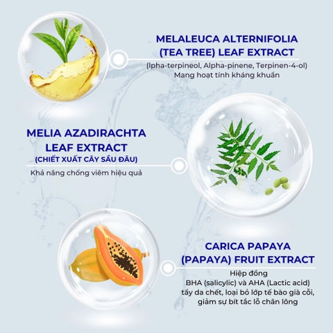 Serum hỗ trợ xử lý mụn Anti-Ance Adecyn