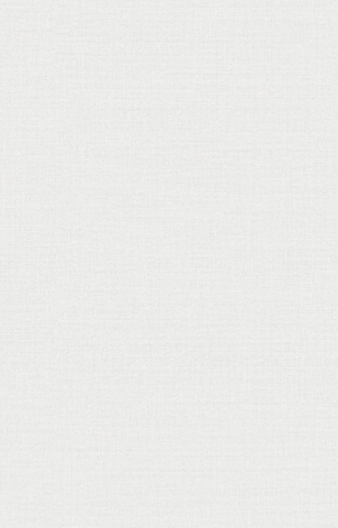 Giấy dán tường một màu Hàn Quốc Basic+ 485-2