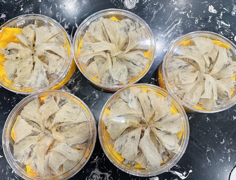 Sản Lượng Yến sào Tại Việt nam