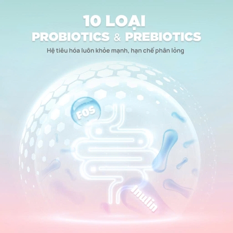 Thức ăn hạt cho mèo con Churro C90K - PetQ