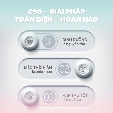 Thức ăn hạt cho mèo con Churro C90K - PetQ