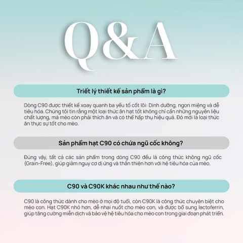 Thức ăn hạt cho mèo con Churro C90K - PetQ