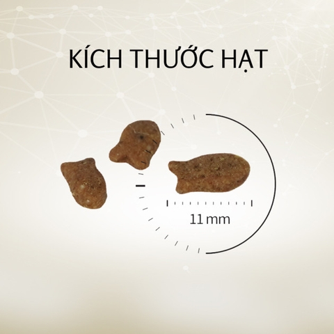 Thức ăn hạt cho mèo mọi lứa tuổi - Catseye Premium 400g