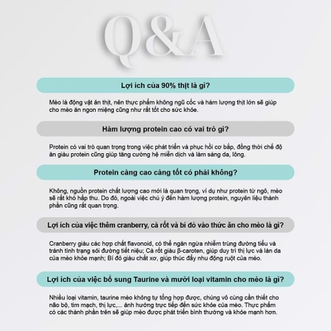 Thức ăn hạt cho mèo Macaron D10 PetQ