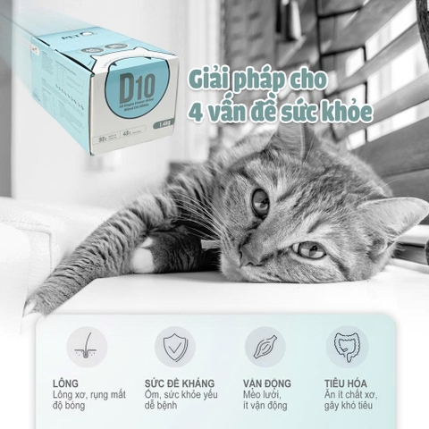 Thức ăn hạt cho mèo Macaron D10 PetQ