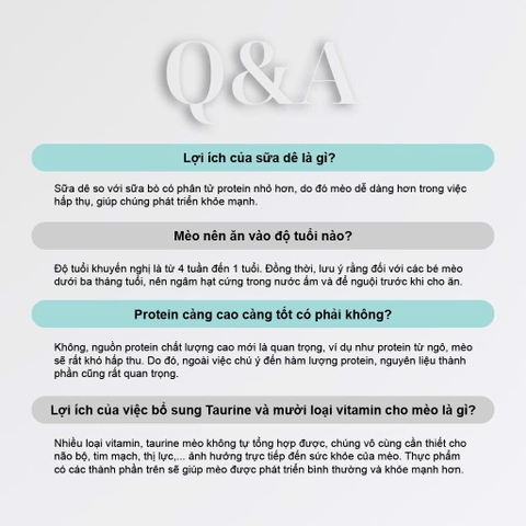 Thức ăn hạt cho mèo con Macaron D5 - PetQ