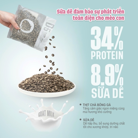 Thức ăn hạt cho mèo con Macaron D5 - PetQ