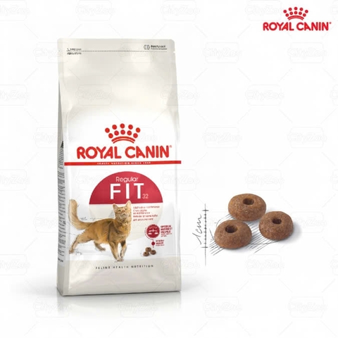 Hạt thức ăn cho mèo Royal canin Fit 32