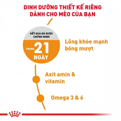 RC - Persiant Adult - HAIR & SKIN – Chăm sóc da và lông