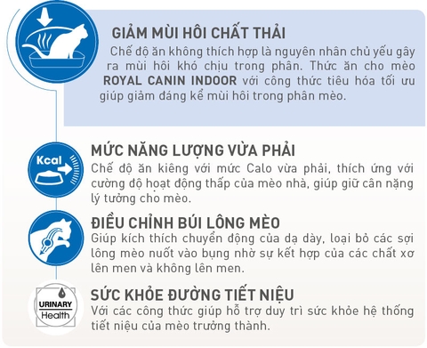 RC - Cat Indoor - Dành cho mèo nuôi trong nhà