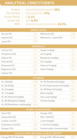 Thức ăn hạt cho chó Poodle trưởng thành - Royal Canin