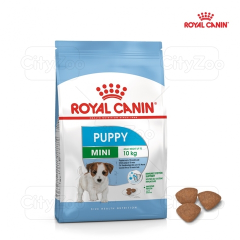 Thức ăn hạt cho chó - Royal Canin Mini Puppy
