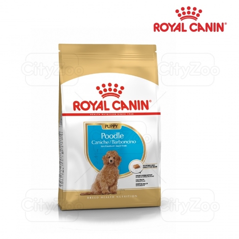 Thức ăn hạt cho chó - Royal Canin Poodle Puppy