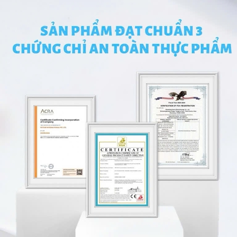 Thức ăn hạt cho mèo - Mr.Vet T1 - Digestion care
