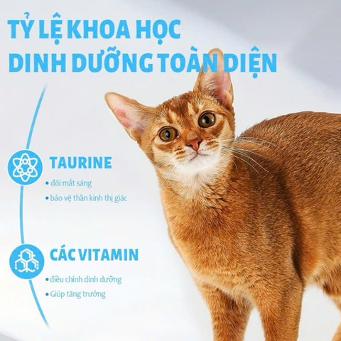 Thức ăn hạt cho mèo - Mr.Vet T1 - Digestion care