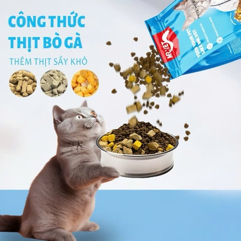 Thức ăn hạt cho mèo - Mr.Vet T1 - Digestion care