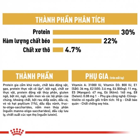 RC - Persiant Adult - Dành cho mèo lông dài