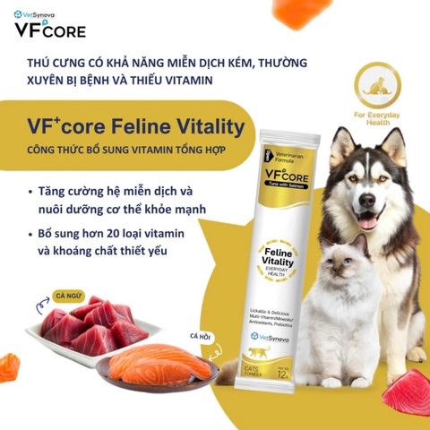 Súp thưởng VF Core Feline Vitality