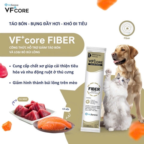 Súp thưởng VF Core Fiber