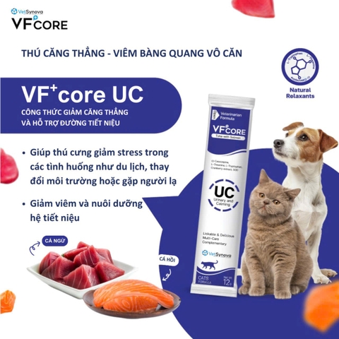 Súp thưởng VF Core UC