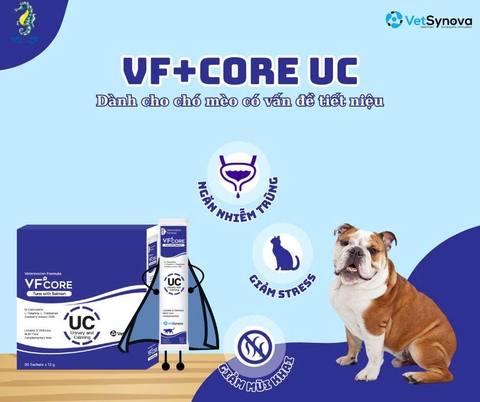 Súp thưởng VF Core UC