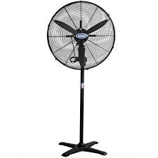 Quạt cây công nghiệp