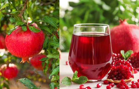 Quả lựu có thể là thần dược trị loại bệnh nguy hiểm này