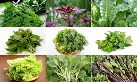 3 loại rau “vàng” nên ăn nhiều vào mùa hè