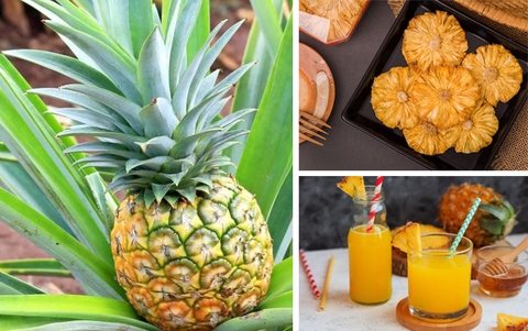 Dứa loại quả đơn giản nhưng có thể giúp mắt khỏe hơn mỗi ngày