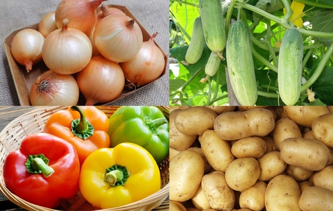 5 loại rau củ tuyệt đối không bảo quản trong tủ lạnh