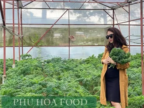 Rau Hữu Cơ Có Thực Sự Đắt Đỏ Không ?