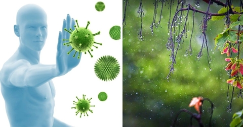 Cách Tăng Cường Miễn Dịch Hiệu Quả Trong Mùa Mưa