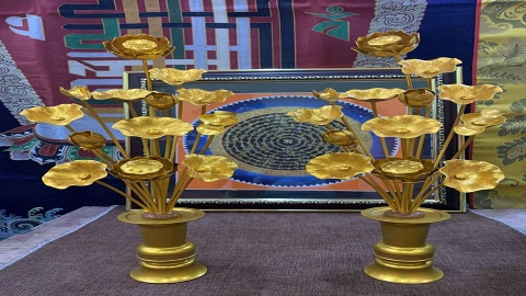 Vì Sao Cây Sen Đồng Mạ Vàng Là Sự Lựa Chọn Phong Thủy Hàng Đầu?