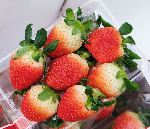 Lợi ích 'trên cả tuyệt vời' của quả dâu tây với sức khoẻ