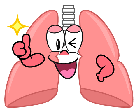 5 loại trái cây tốt cho phổi mà bạn nên biết