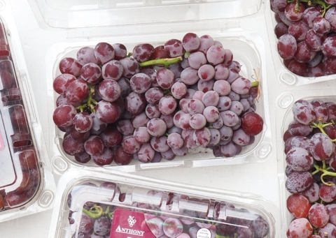 Nho kẹo đỏ Candy Snaps – viên kẹo nước Mỹ giàu dinh dưỡ·